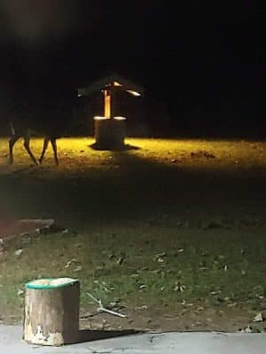 Countryside Campground
