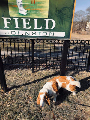 Cricket Field