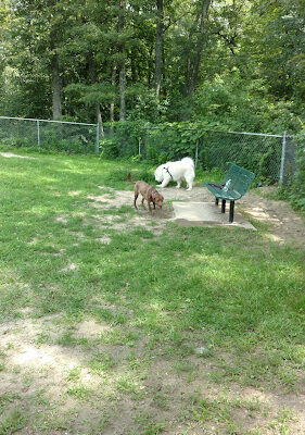 Wood Lake Park