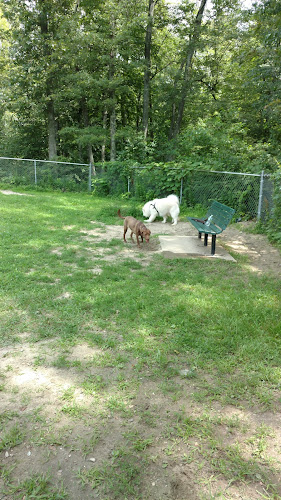 Wood Lake Park