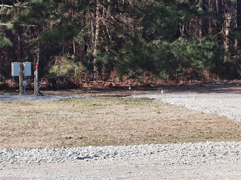 Leach Homestead campground - Johnston, SC