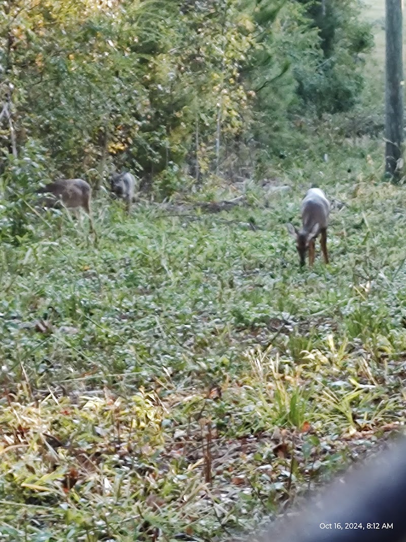 Leach Homestead campground - Johnston, SC