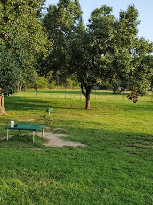 Joint Base Andrews Dog Park