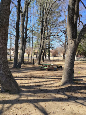 The Bark Park