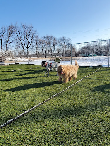 Jonesville Puppy Paradise