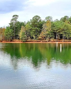 Dames Ferry Park - Juliette, GA