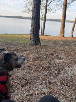 Dames Ferry Park - Juliette, GA