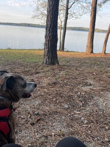 Dames Ferry Park - Juliette, GA
