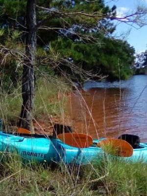 Dames Ferry Park - Juliette, GA