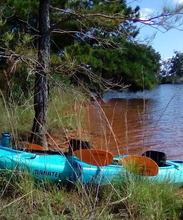 Dames Ferry Park - Juliette, GA