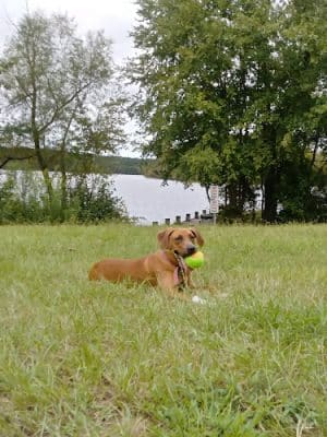 Holly Grove Park - Juliette, GA