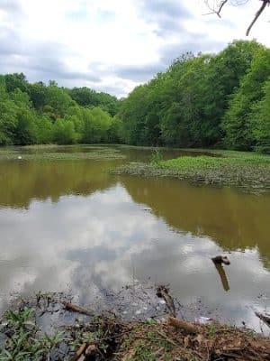 Holly Grove Park - Juliette, GA