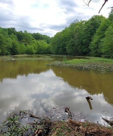Holly Grove Park - Juliette, GA