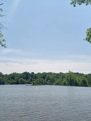 Juliette Dam - Juliette, GA