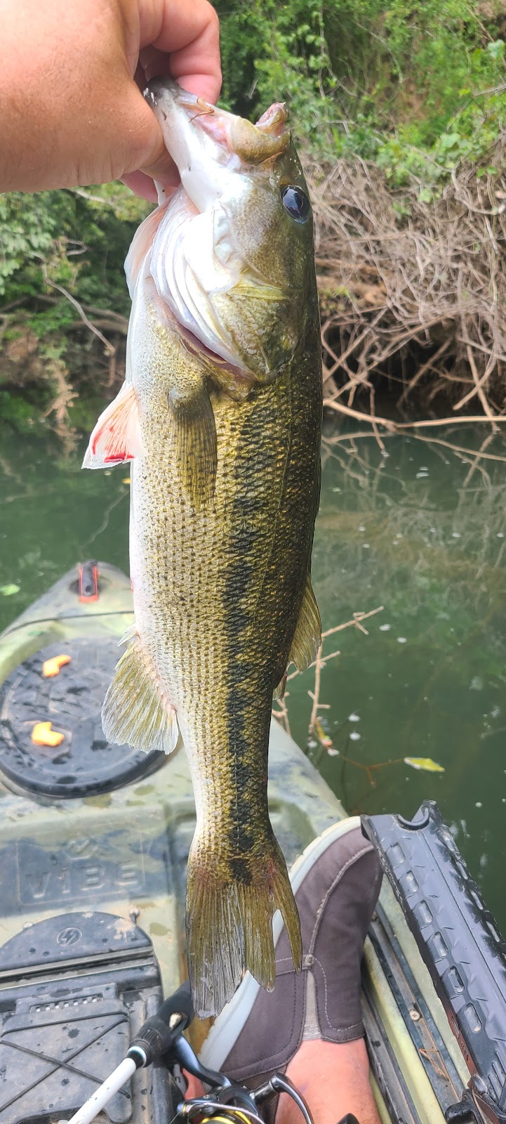 Juliette Dam - Juliette, GA