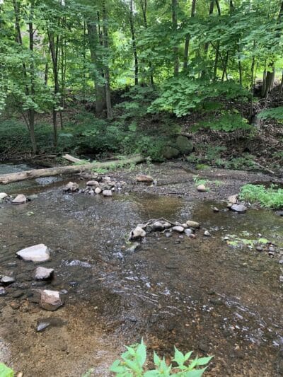 Comstock Waterfalls - Kalamazoo,