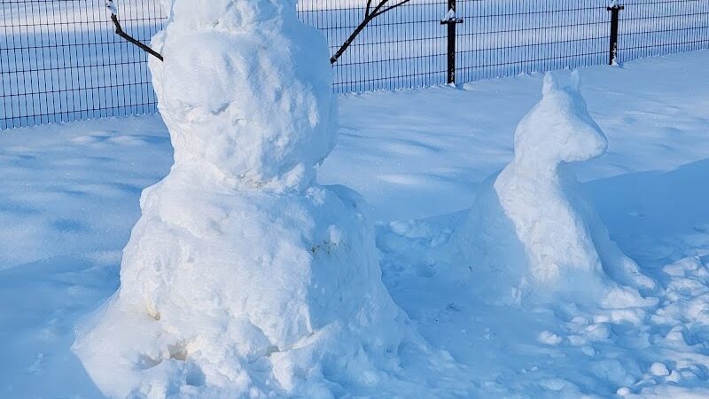 Fairmount Dog Park - Kalamazoo,