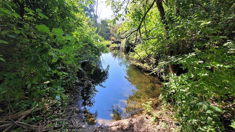 McLinden Nature Trails - Kalamazoo,