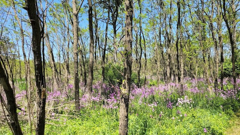 McLinden Nature Trails - Kalamazoo,