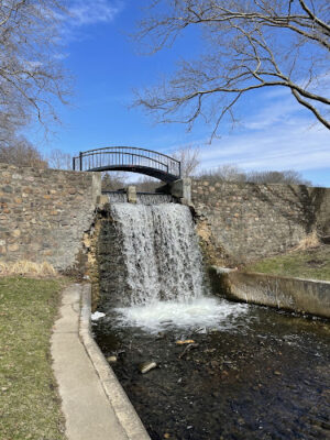 Comstock Waterfalls