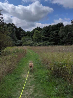 McLinden Nature Trails
