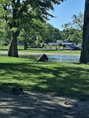 Merrill Park