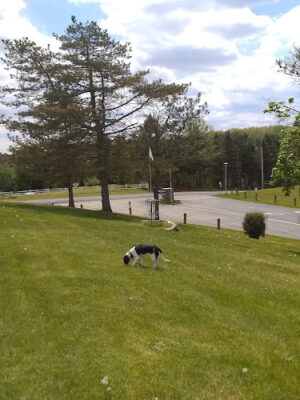 Robert Morris Park
