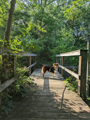 Spring Valley Park