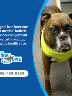The Dog Dive, LLC