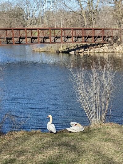 Spring Valley Park - Kalamazoo,
