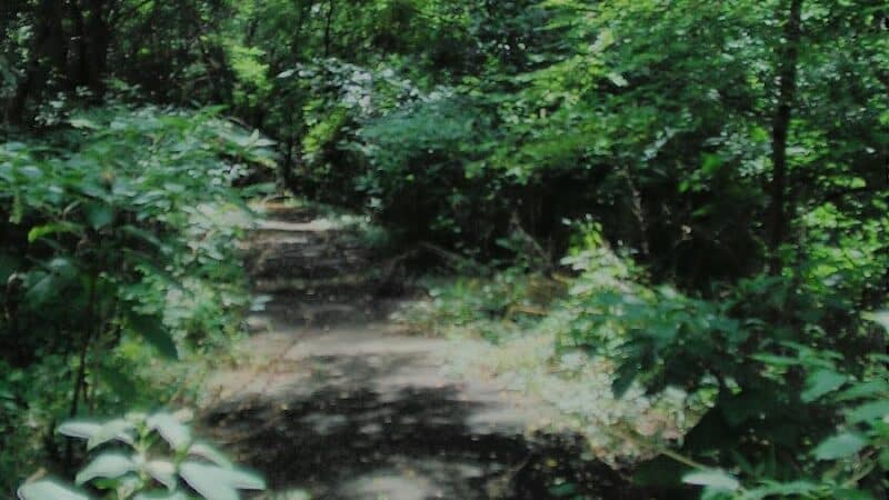Sutherland Park - Kalamazoo,