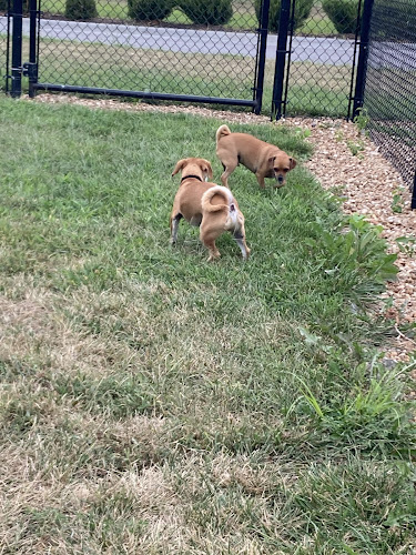 Dog Park at Love's Travel Stops