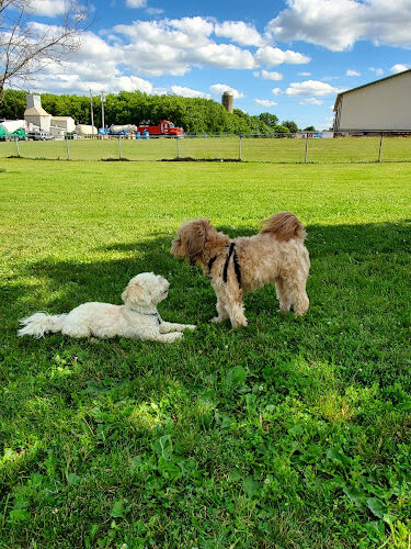 Kaukauna Dog Park