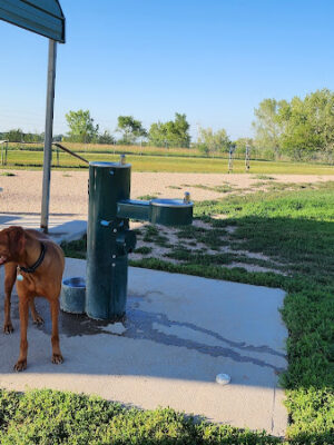 Meadowlark North Dog Park