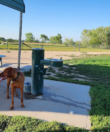 Meadowlark North Dog Park