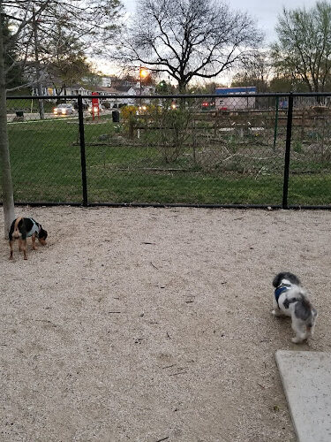 Kearny Dog Park