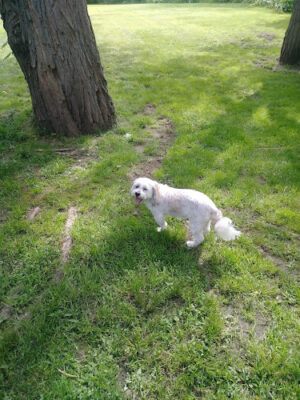 Kearny Riverbank Park