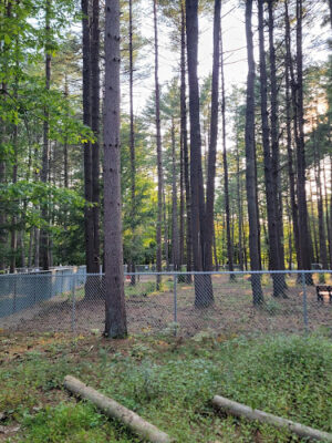 Keene Dog Park