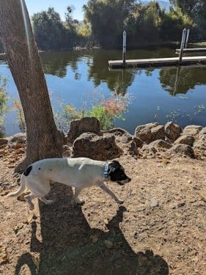 Lakeside Park | Lake County Parks
