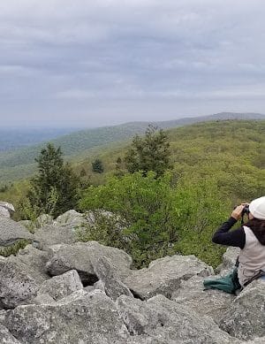 Hawk Mountain Sanctuary