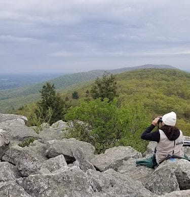 Hawk Mountain Sanctuary