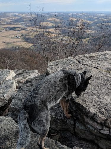 The Pinnacle - Kempton, PA