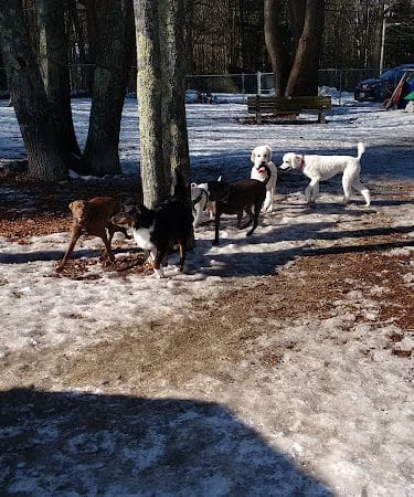 Kennebunk Dog Park