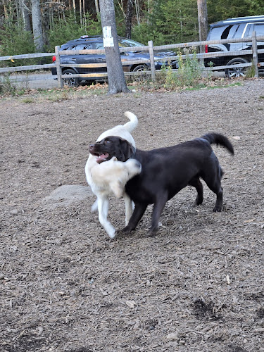 Kennebunkport Dog Park