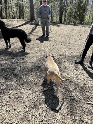 Meadow Woods Preserve Off Leash Dog Area