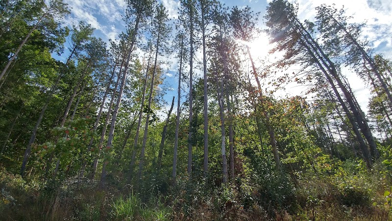Howard Christensen Nature Center - Kent City,