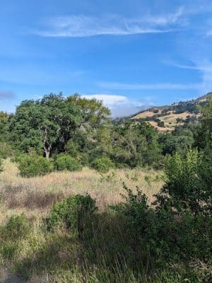 Creekside Nature Trailhead