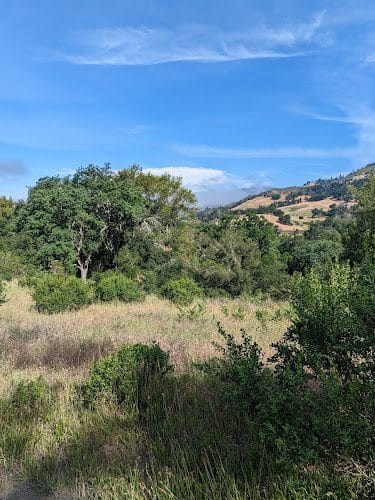 Creekside Nature Trailhead