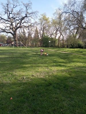Shaw Park