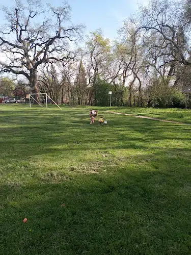 Shaw Park